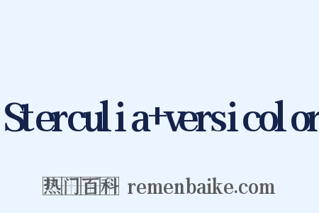 Sterculia+versicolor是什么意思的图片